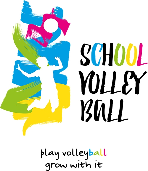 Πρόγραμμα πετοσφαίρισης